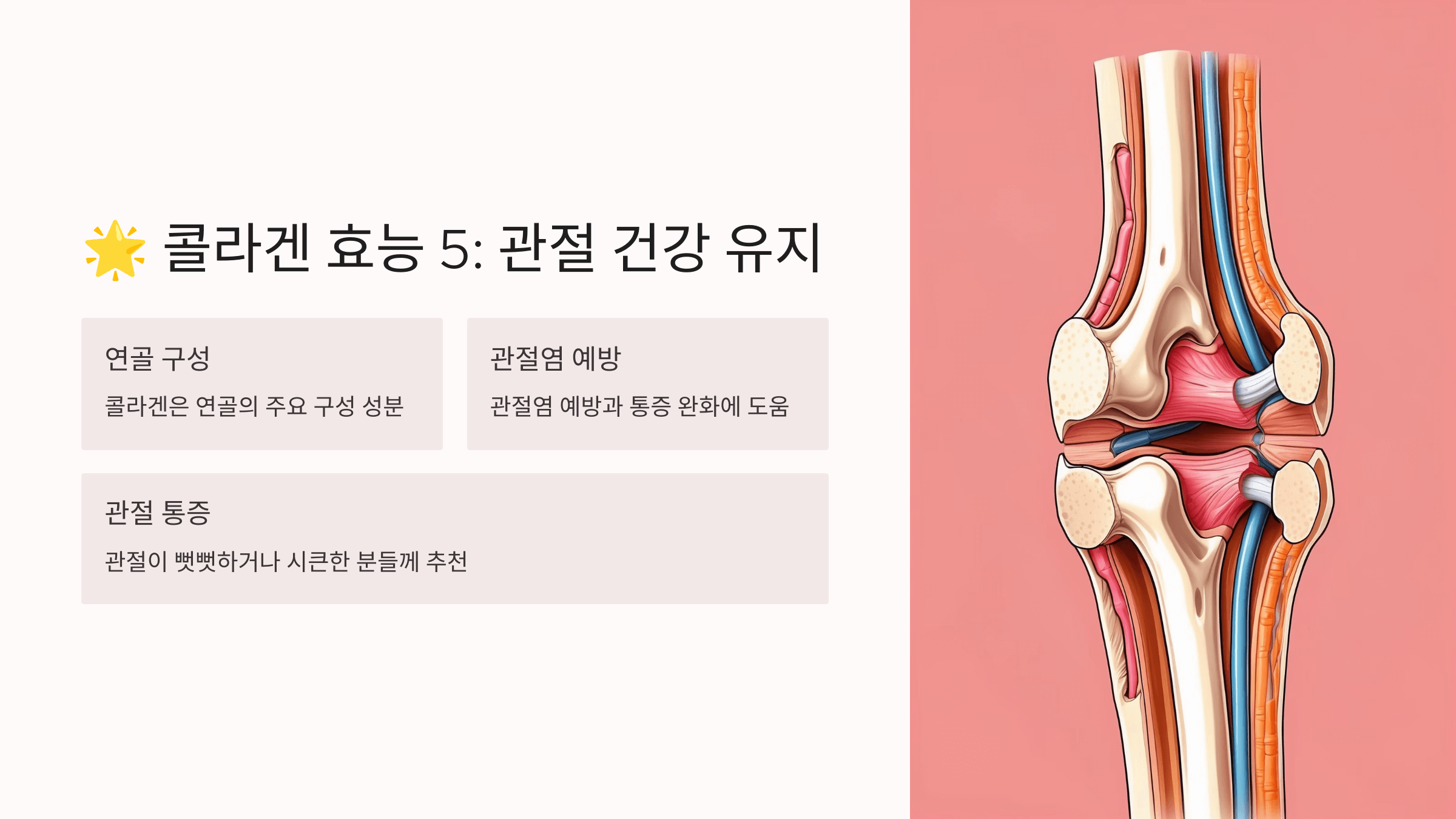 콜라겐과 관련된 사진입니다.