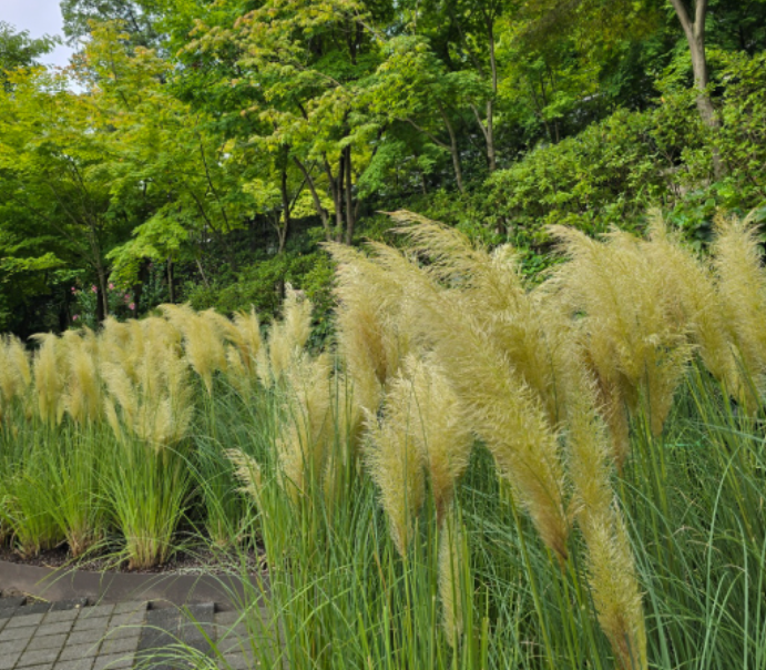 화담숲 예약방법 예약하기 정보