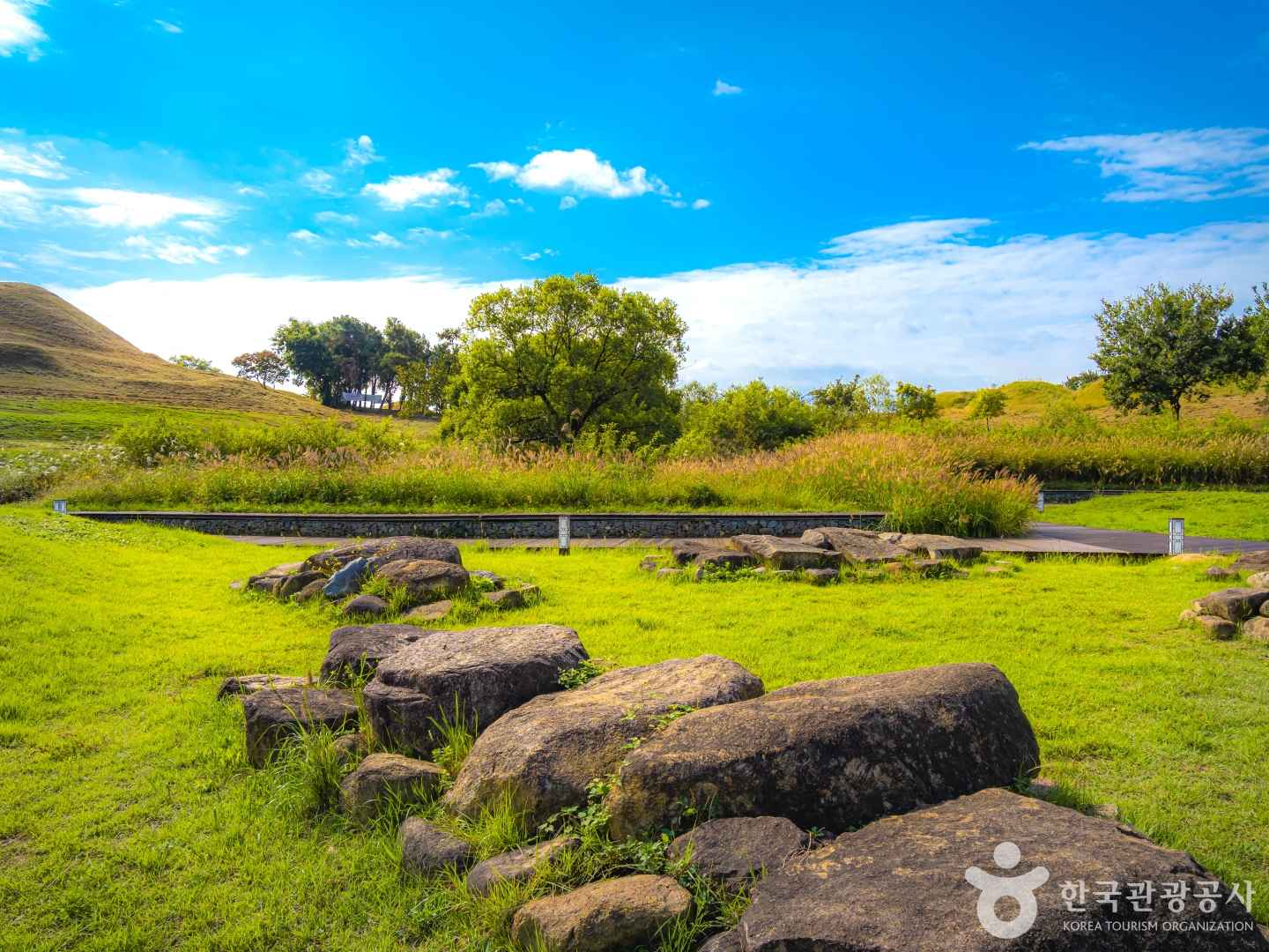 대구 불로동 고분군
