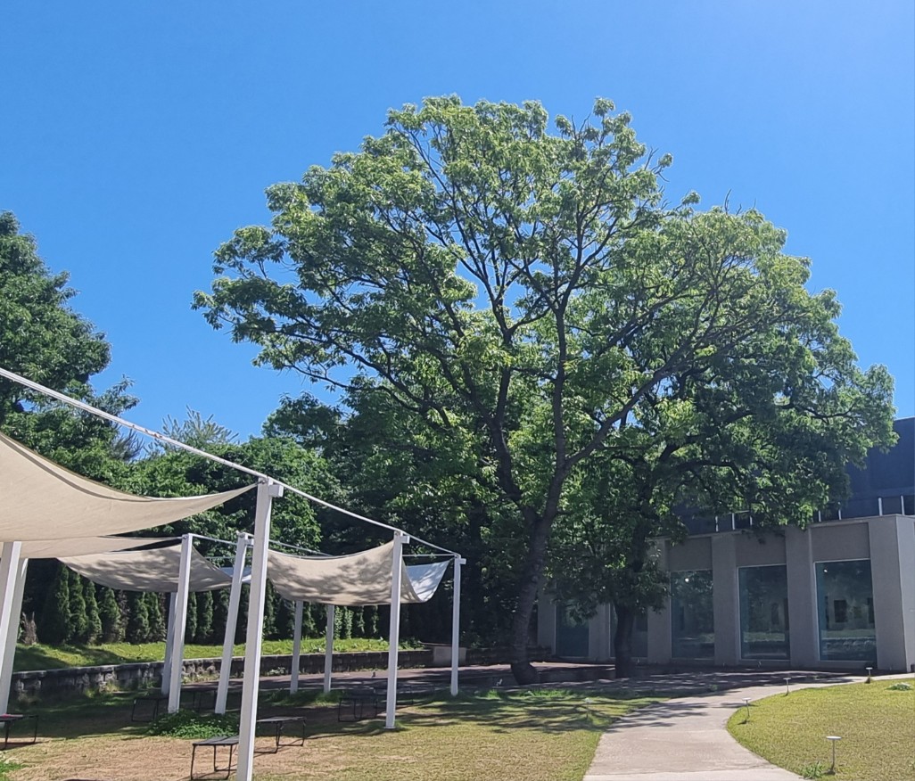 김포 자연 속 갤러리 카페 '포레리움' : 아트스페이스, 볼풀장 예약, 주차 정보