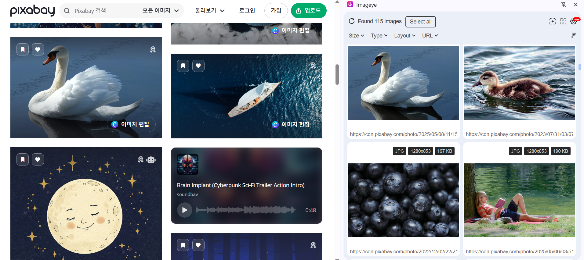 웹페이지 이미지 일괄 다운로드 (+무료 설치하기)