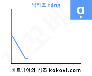 낙하조의 그래프