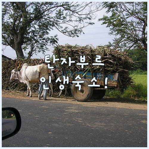 탄자부르 자유여행 베스트 숙소 추천 ..
