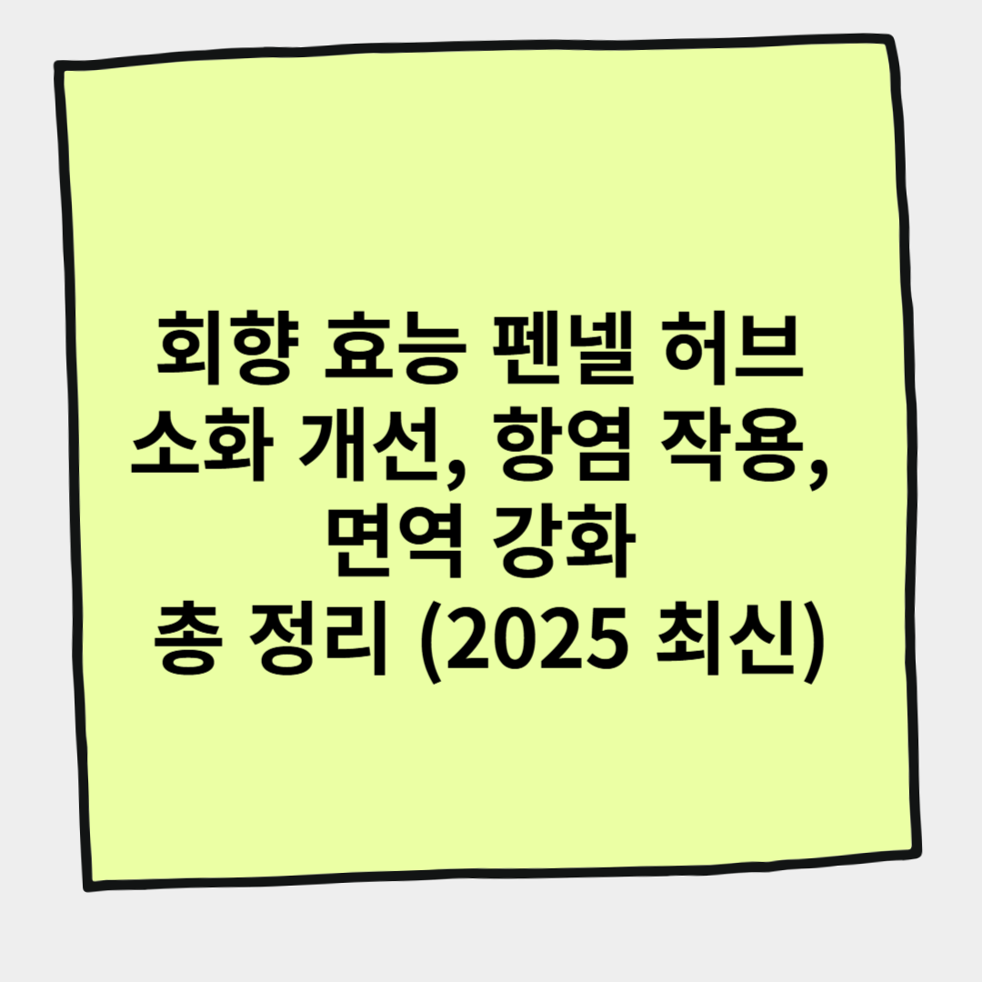 회향 효능 펜넬 허브 소화 개선, 항염 작용, 면역 강화 총 정리 (2025 최신)