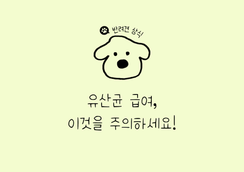 강아지 영양제, 강아지 유산균 추천, 강아지 영양제 추천