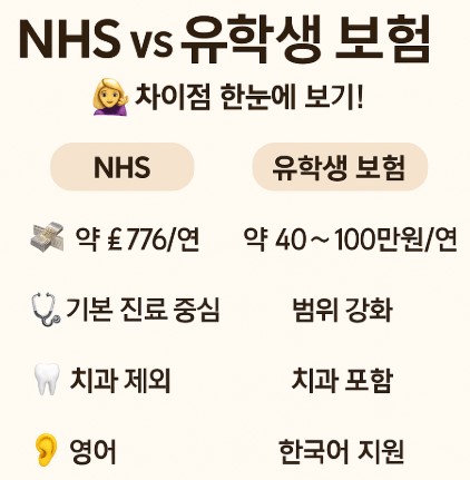 영국 유학시 학생 보험 안내 사진