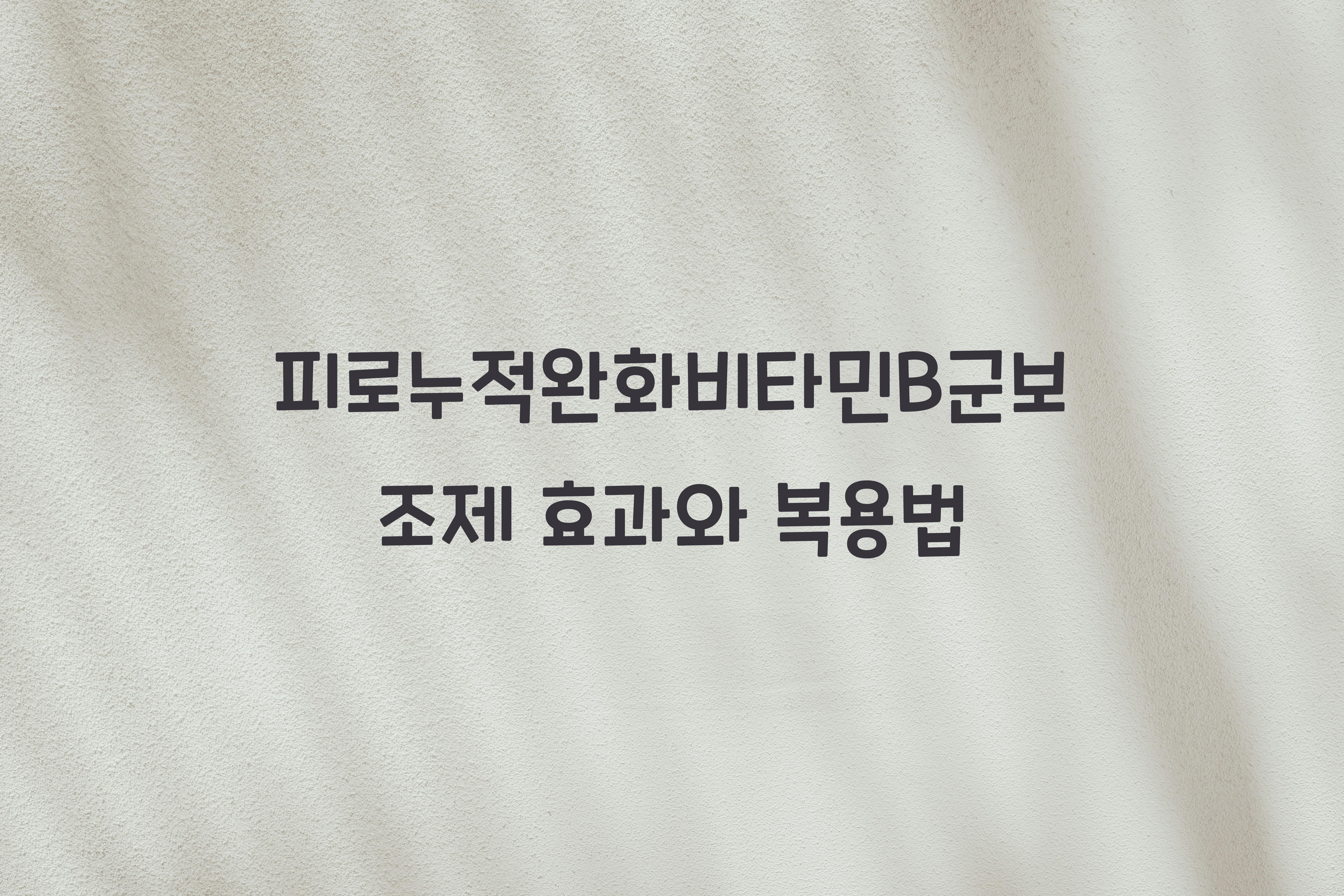 피로누적완화비타민B군보조제