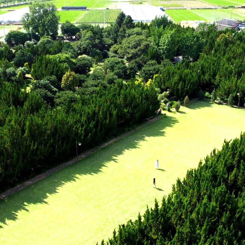 특색있고 아름다운 민간 정원 30선 추천 여행 - 30. 구례 천개의 향나무숲 정원