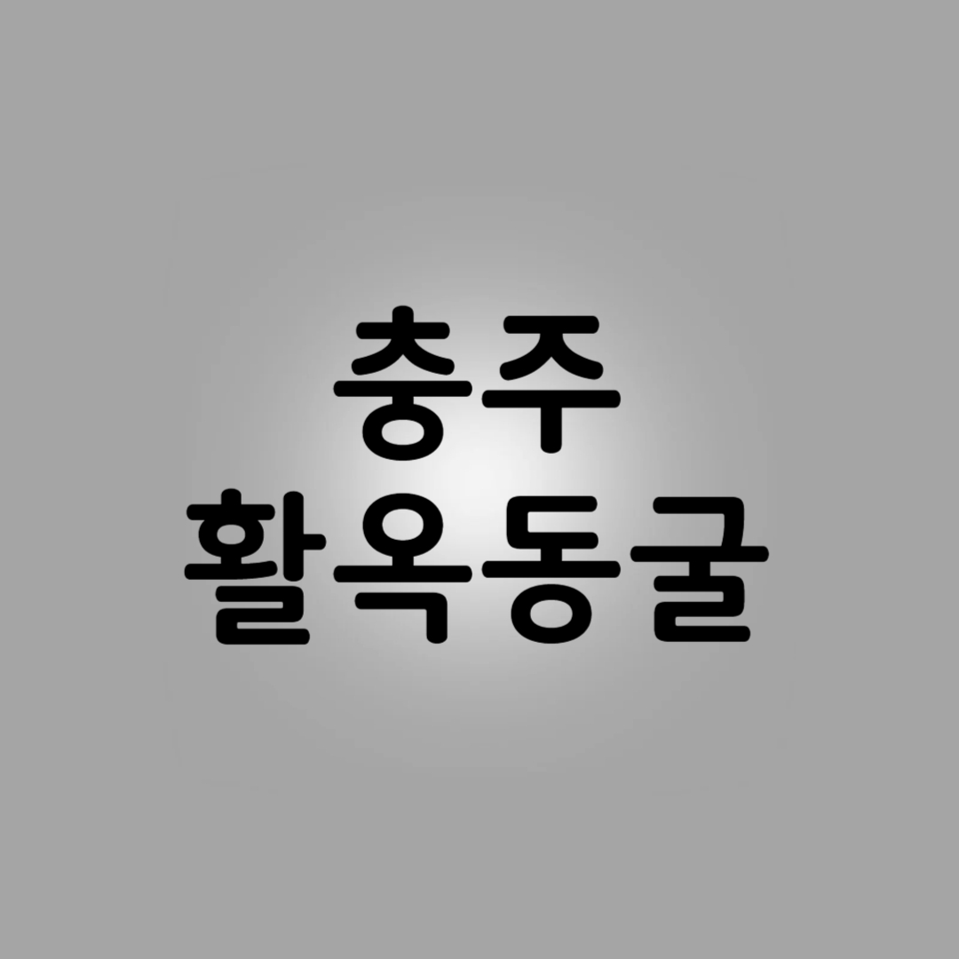 충주 활옥동굴 입장료 카약 운영시간
