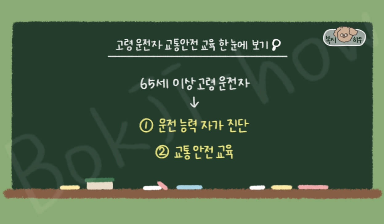 고령 운전자 교통안전 교육은 65세 이상의 고령 운전자에게 운전 능력 자가 진단과 교통 안전 교육을 지원하는 제도이다.