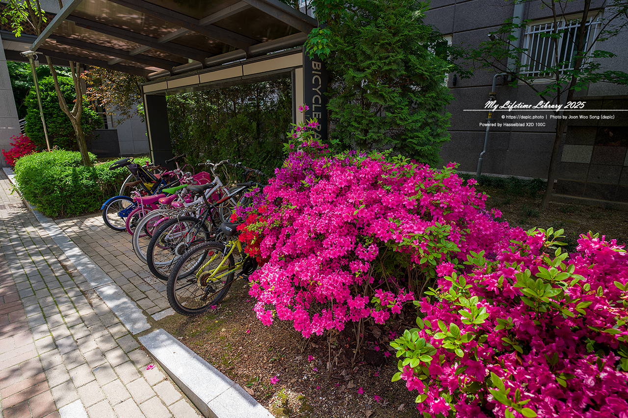 #아파트 #정원 #오창 #오창대성베르힐