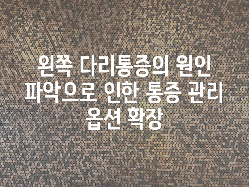 왼쪽 다리통증의 원인 파악으로 인한 통증 관리 옵션 확장