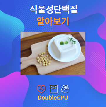 식물성 단백질 알아보기