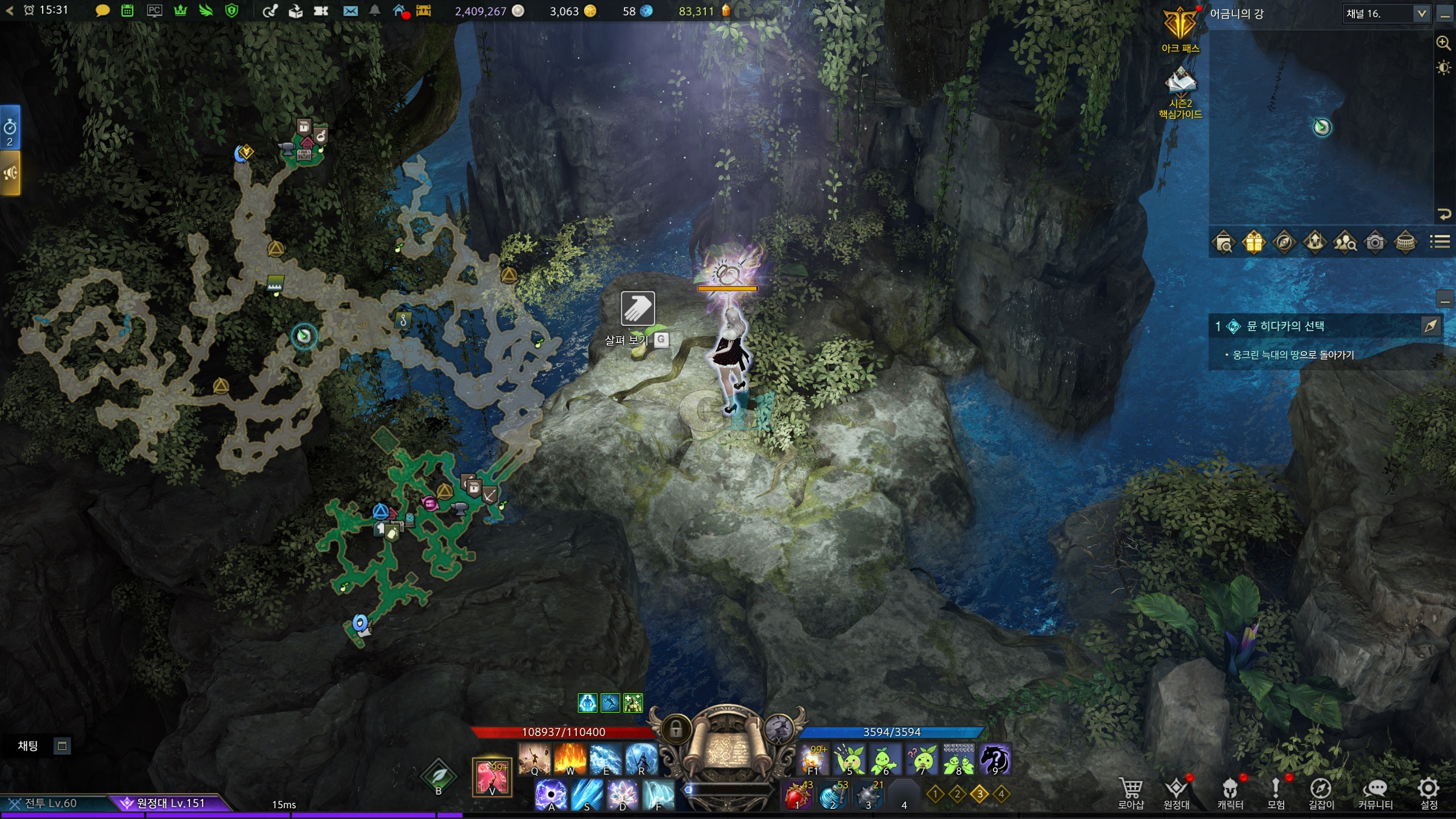 어금니의강 모코코