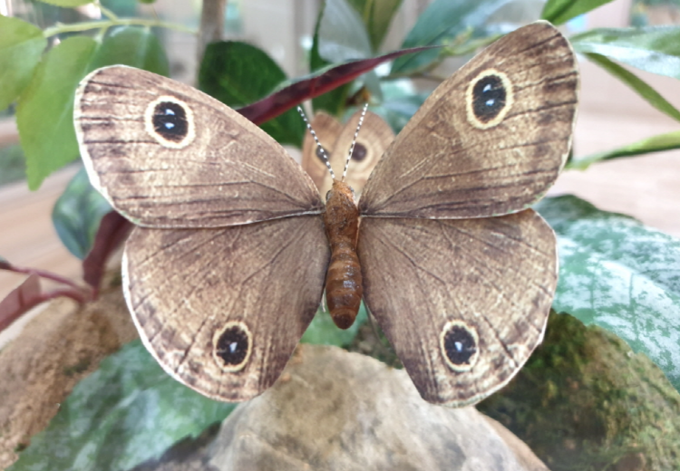 부천 자연생태공원