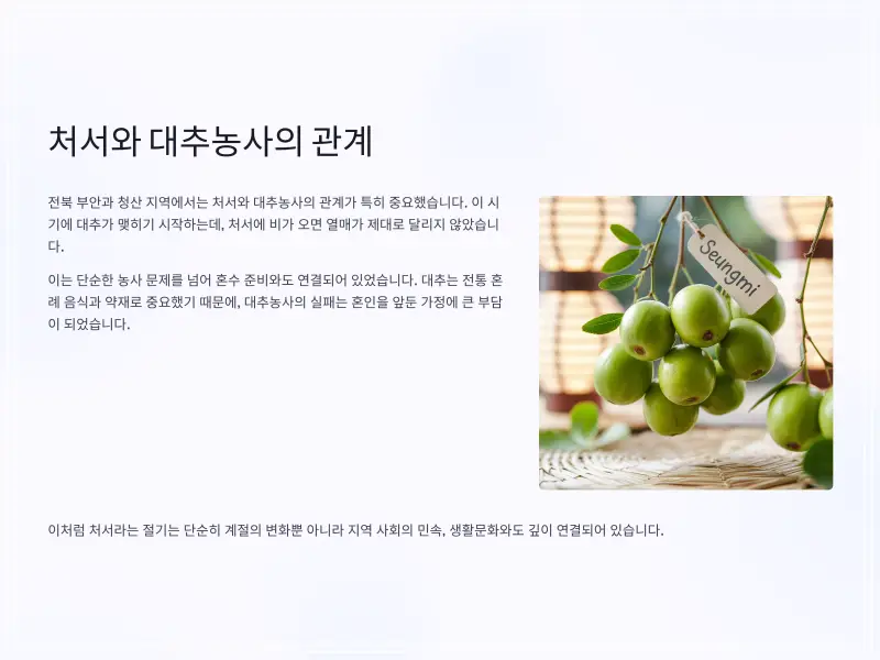 24절기-처서-10_