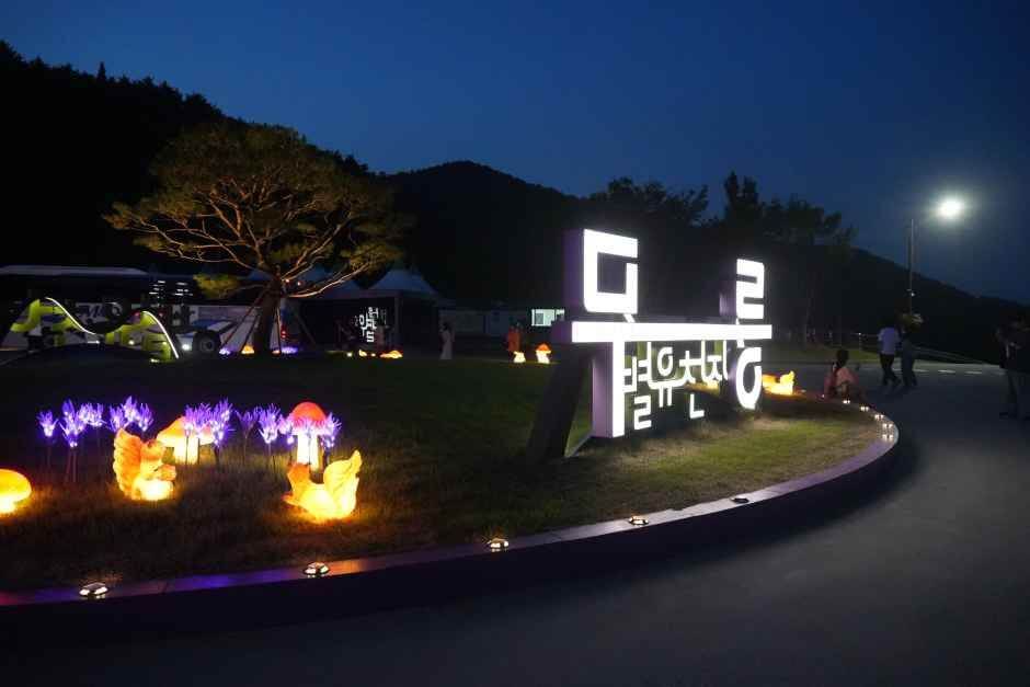 무릉별유천지 라벤더축제