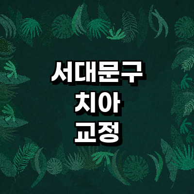 서울 서대문구 교정 치과