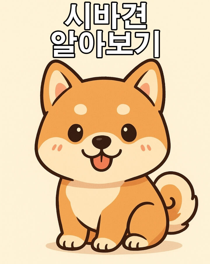 시바견 완전정복