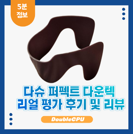 다슈 퍼펙트 다운텍