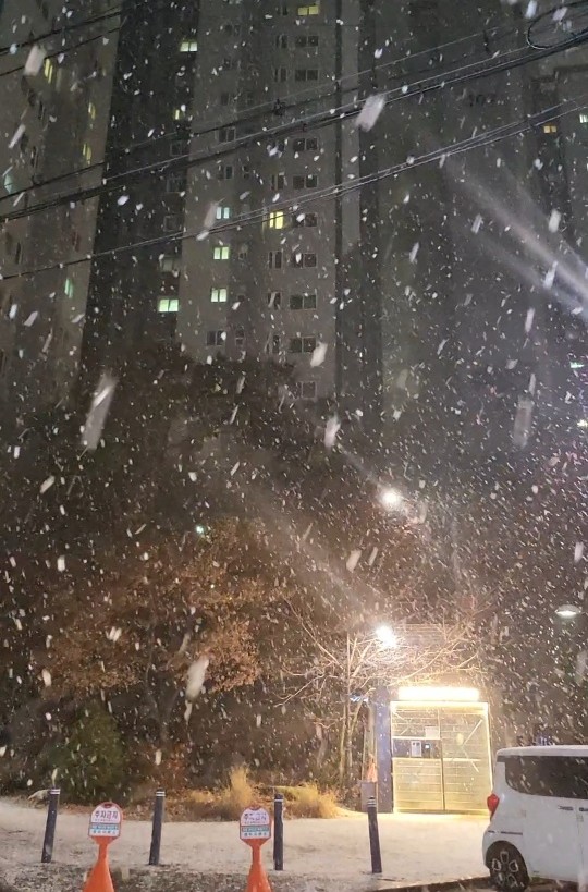 밤에 카페 유리창 너머로 아파트 단지와 가로등 아래 눈이 펑펑 내리는 풍경