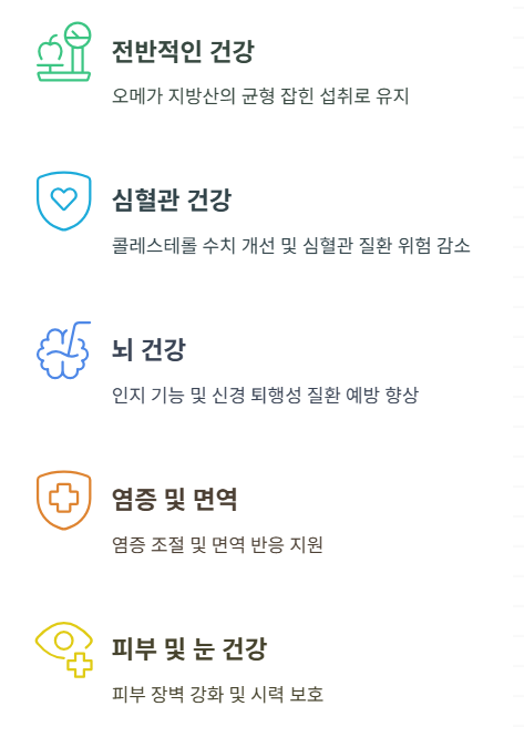 오메가 지방산의 건강 효능