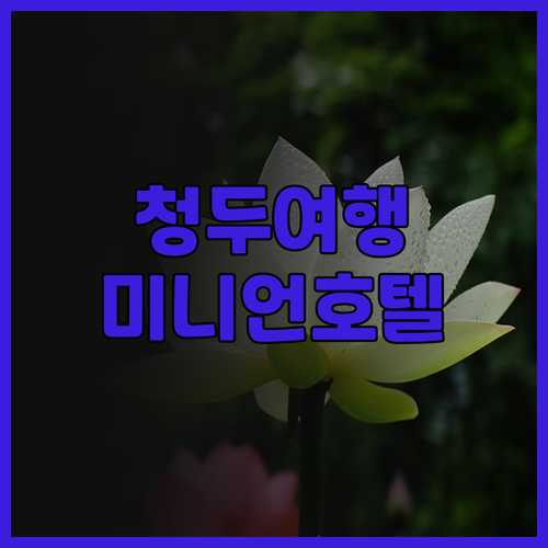 청두 여행객 필독 리아! 바이 미니언..