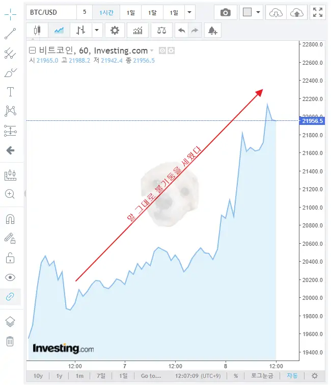 비트코인 차트 사진