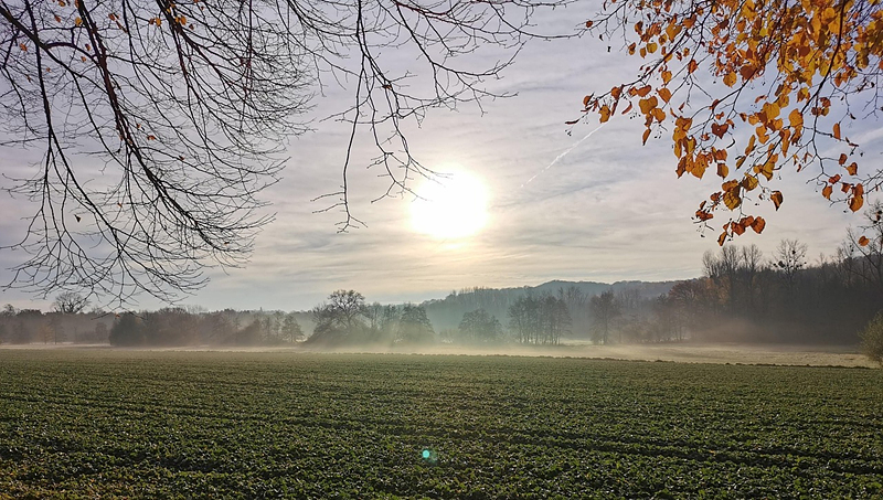 조발성 치매의 증상&amp;#44; 진단&amp;#44; 관리 방법