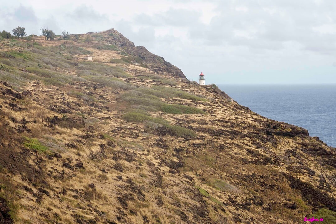 마카푸우 포인트에 있는 빨간 등대와 바다를 찍은 사진