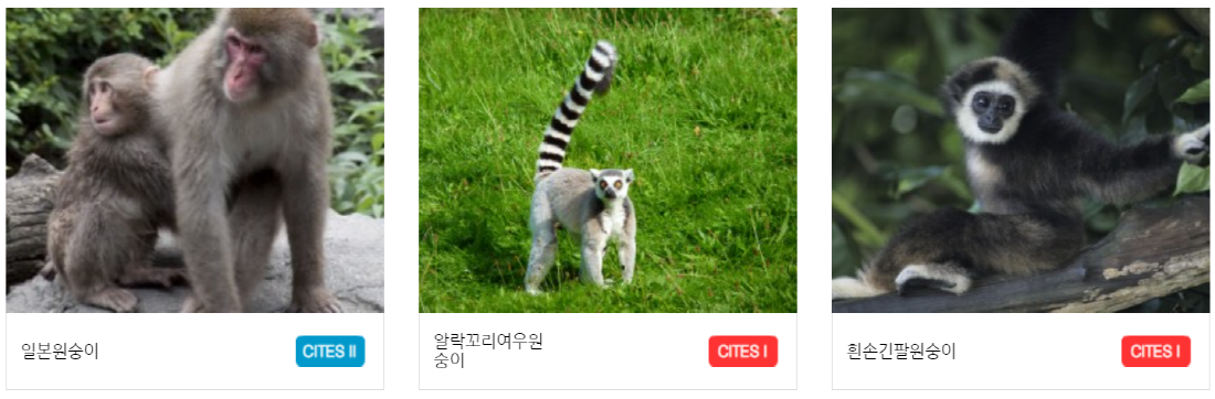 구미 쥬쥬동산