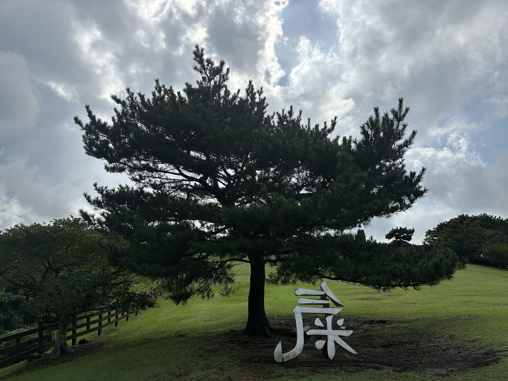 산굼부리 구상나무 숲길