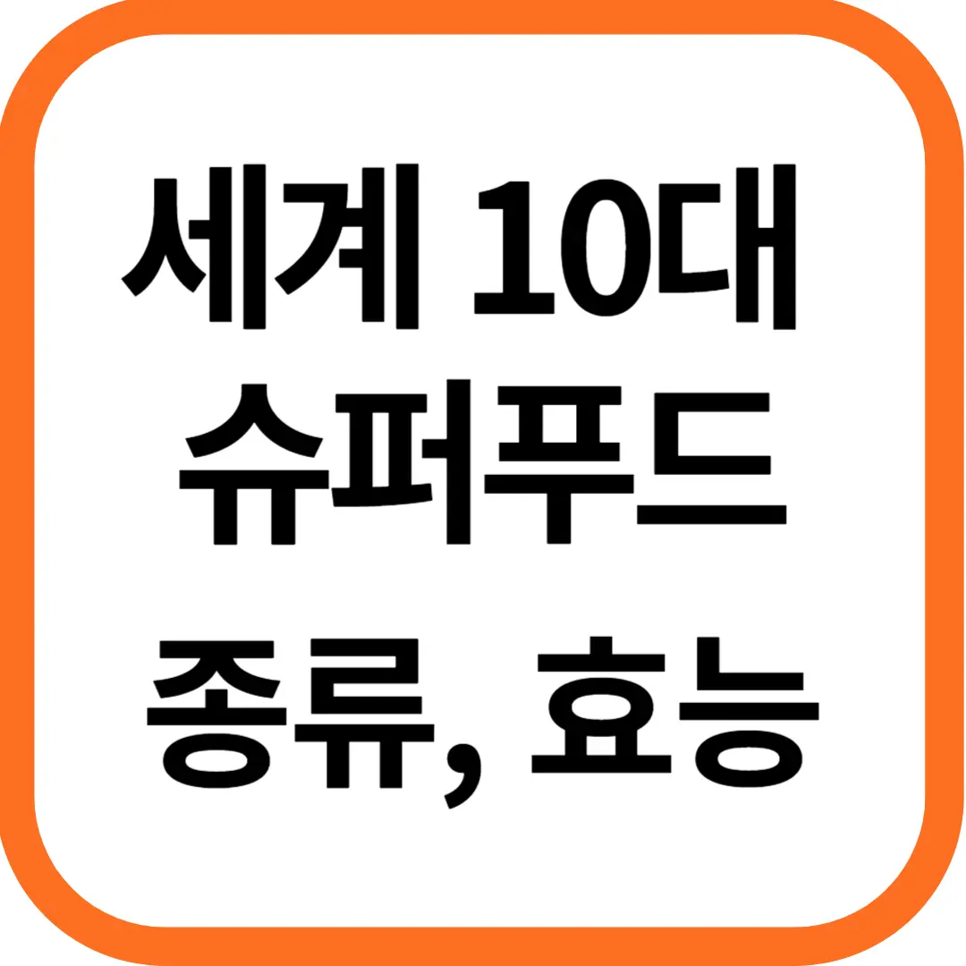 세계 10대 슈퍼푸드 종류와 효능