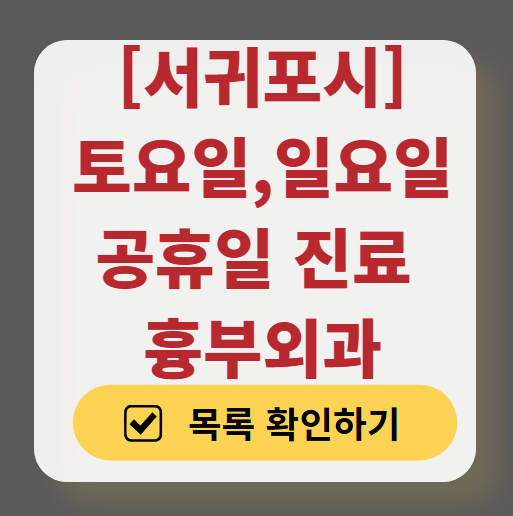 서귀포시 주말 토요일 일요일 흉부외과 진료 병원 목록 ❘ 공휴일 진료 영업 병원 리스트 찾기