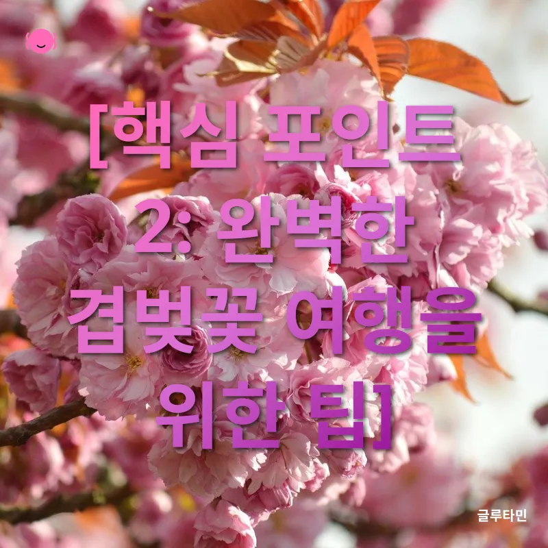경주 겹벚꽃 명소_2