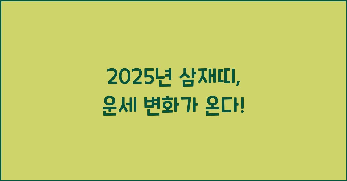 2025년 삼재띠