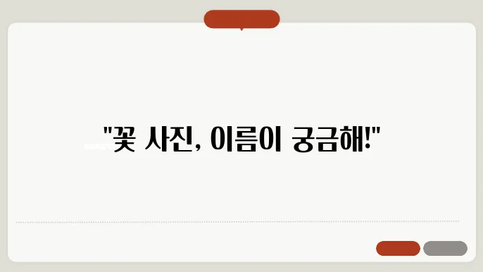 사진으로 꽃 이름 검색하기