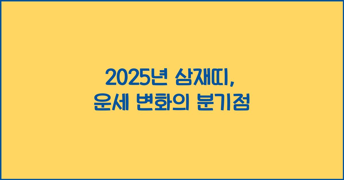 2025년 삼재띠