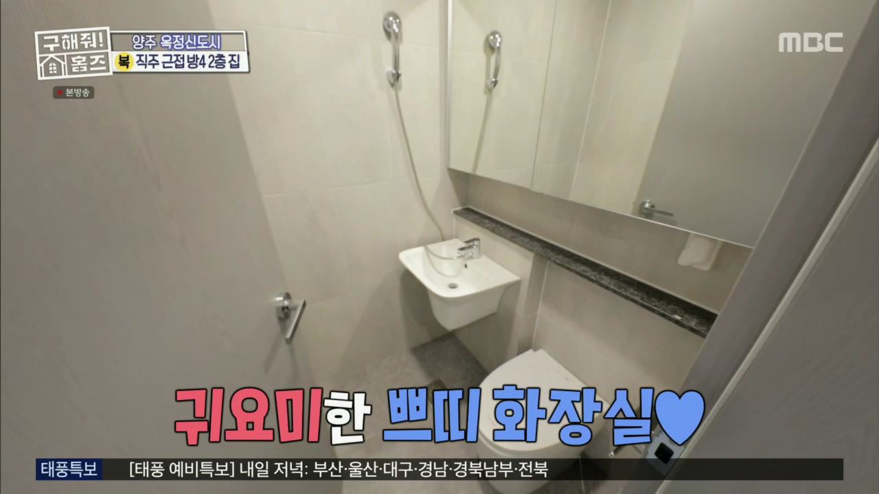 구해줘홈즈 아이브 안유진 가을 양주시 옥정동 아이브럽지 2층집 매물 가격 및 구조 인테리어 리모델링 최종선택 소개
