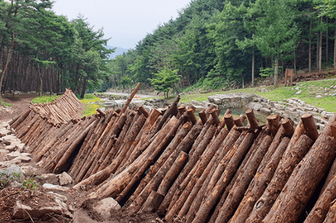 함양대봉산휴양밸리 모노레일 집라인 단체 예약 요금 주차