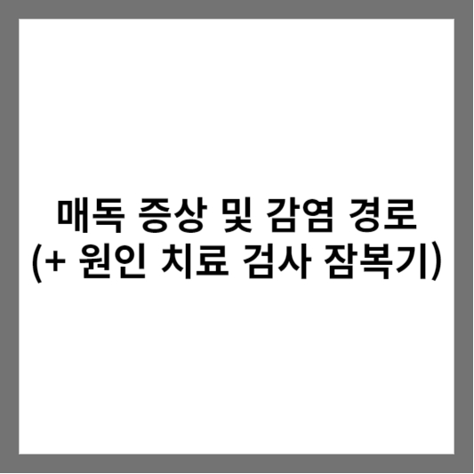 매독 증상 및 감염 경로 (+ 원인 치료 검사 잠복기)