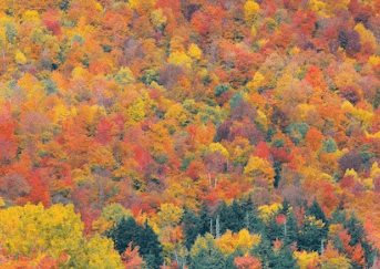 2023λ
λ¨νμκΈ° μμΈ‘μ§λ