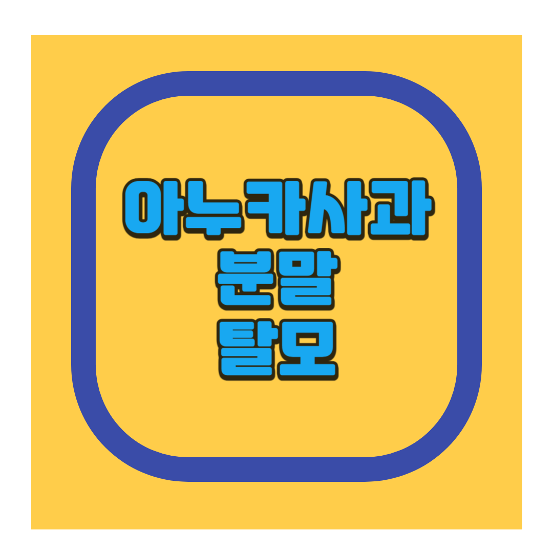 아누카사과분말 탈모