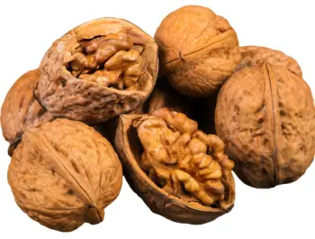 호두 효능 및 영양소&amp;#44; 주의점