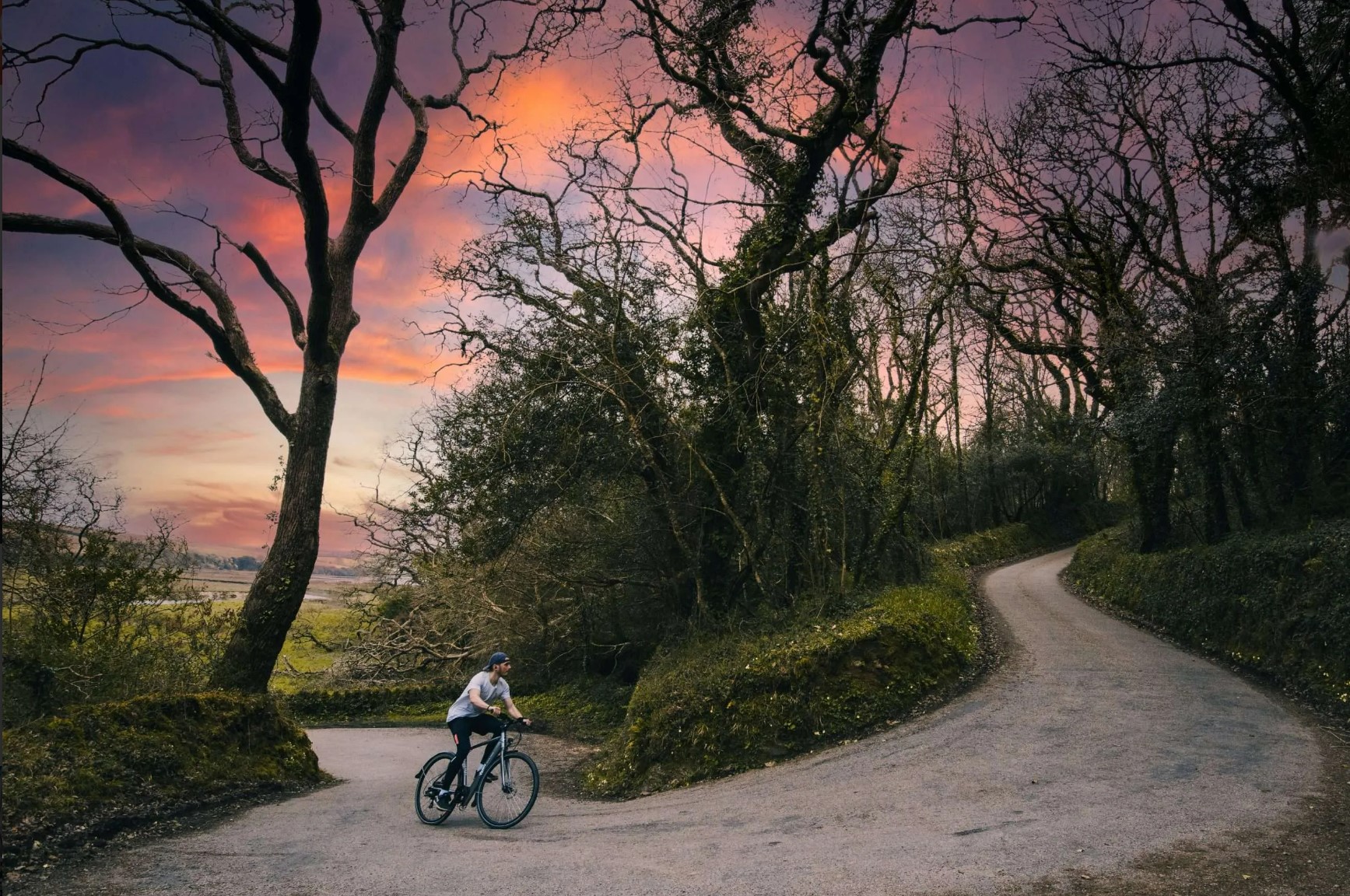 01. ​​Emu Electric Bikes 블로그01