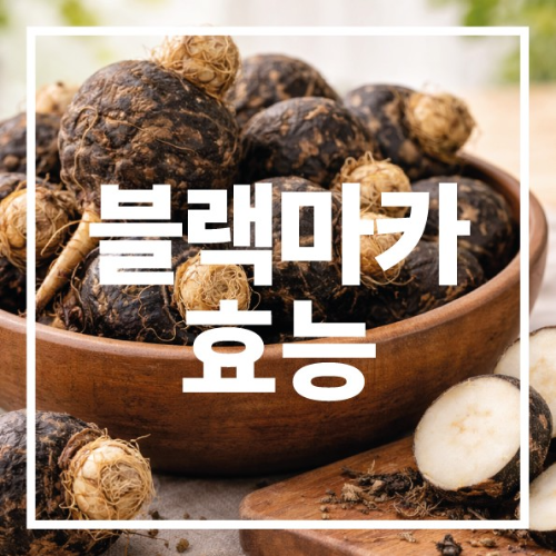 블랙마카 효능