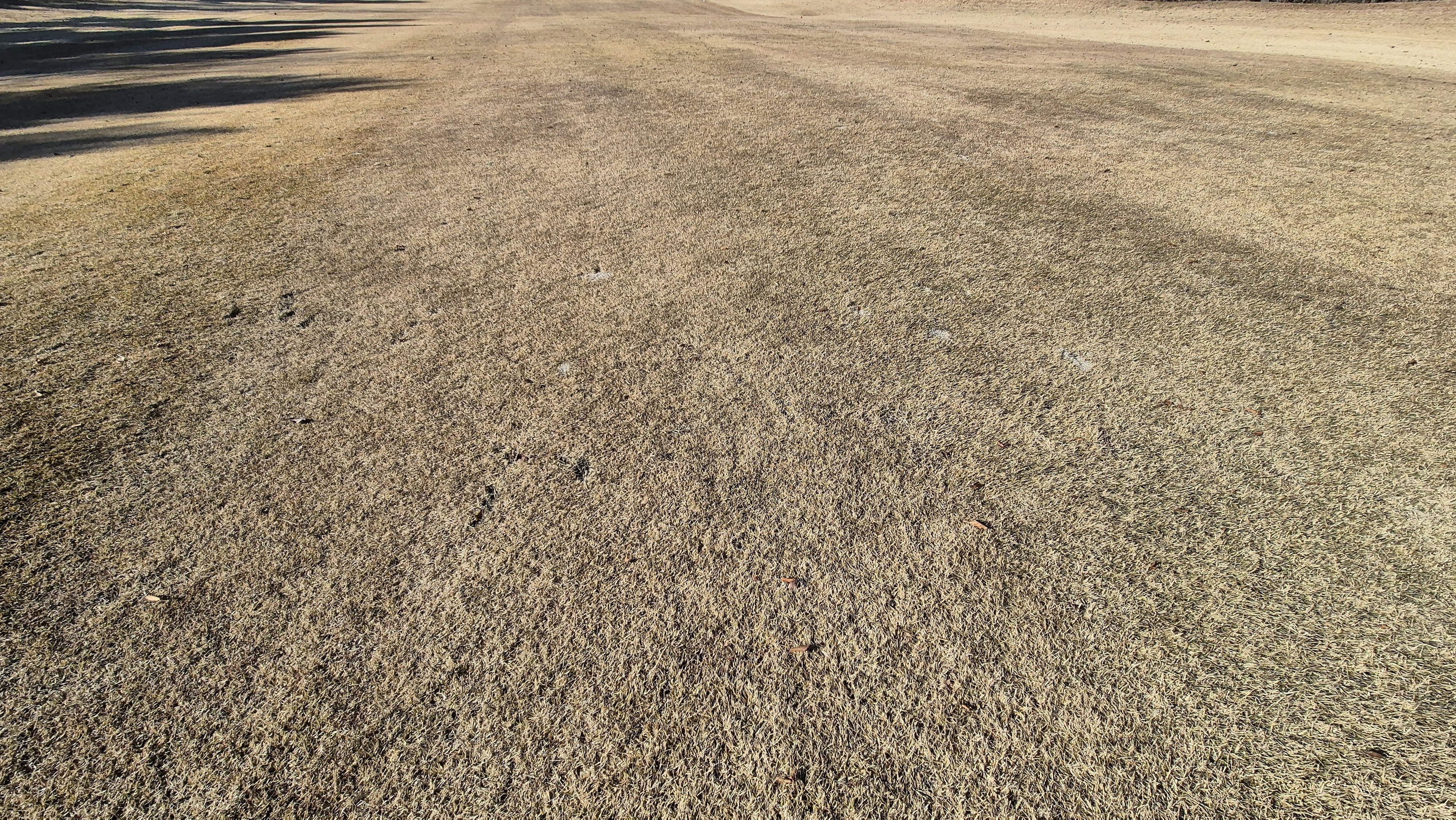 88cc 서코스 라운드 코스관리상태