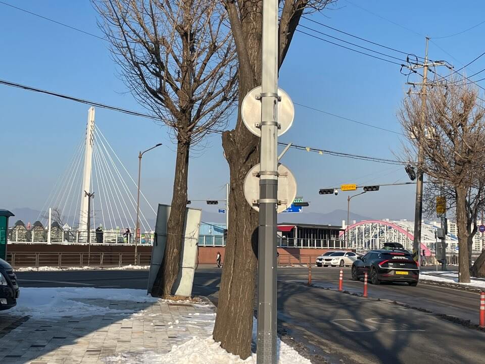 이비가 짬뽕 맛집