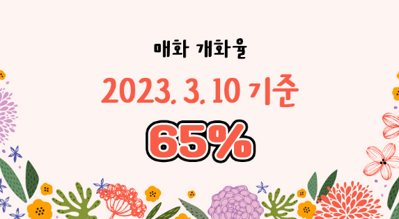 2023년 광양 매화축제 주차장정보