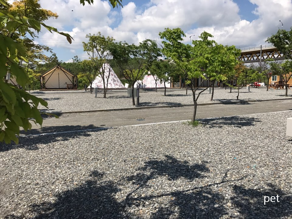 경기-연천-캠핑브릿지캠핑장-예약-방법-애견-동반-가격-주소-시간-후기